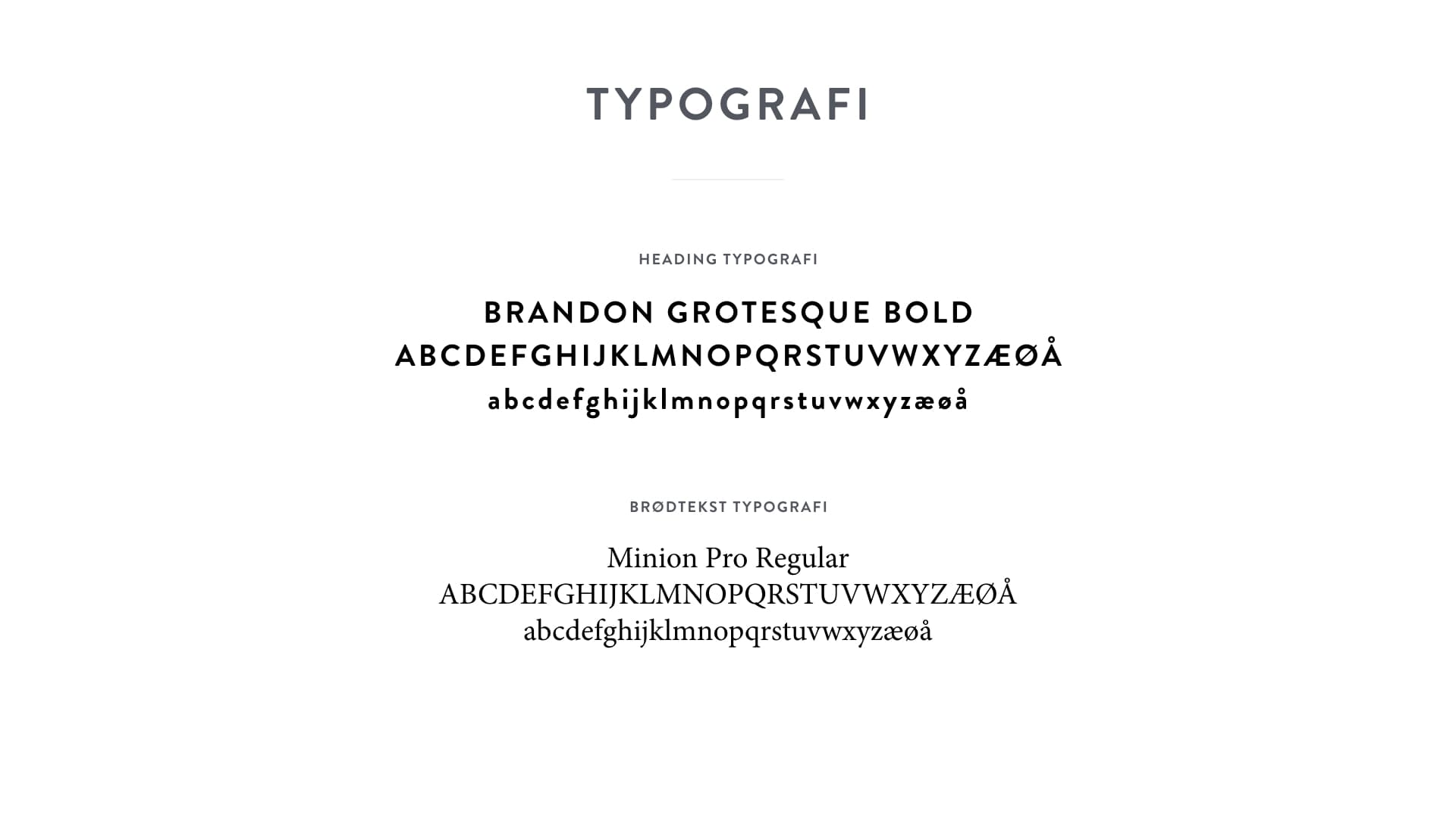 Portfolio image 4